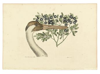 CATESBY, MARK. Six hand-colored engraved plates,